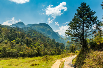 Landscape view near trail through grass hills and forests in Song Mao Nature Reserve, Fansipan, Sapa, Vietnam