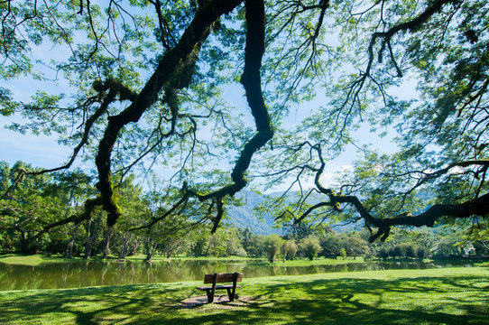 A very cozy sight in the morning at Taiping Lake Garden Park.