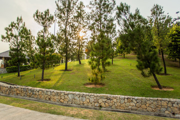 Evening view at the garden park.