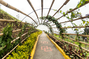 Beautiful Sights of Lookout of Filandia in Quindio, Colombia.