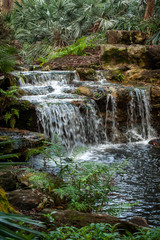 tropical waterfall with green foliage