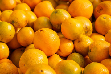 Florida oranges, fresh citrus