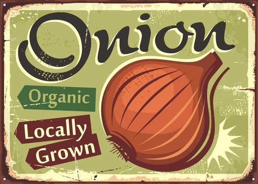 Vegetables sign. Onion locally grown organic farm product retro poster design. Farmers market vector advertising poster idea. 