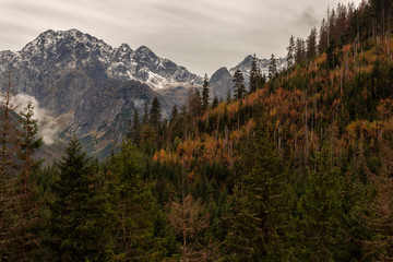 autumn mountains