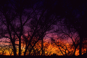 Obraz premium New Mexico sunset