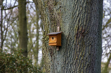 wooden birdhouse on a tree in the forest and park