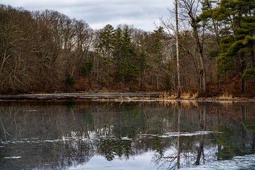 lake in forest