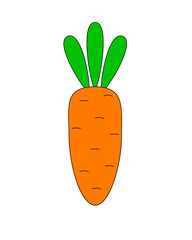 Carrots are vegan food. A small, cartoony, stylized carrot is an ingredient. Vector stylized carrot - orange with green leaves - vegetables and a healthy diet.