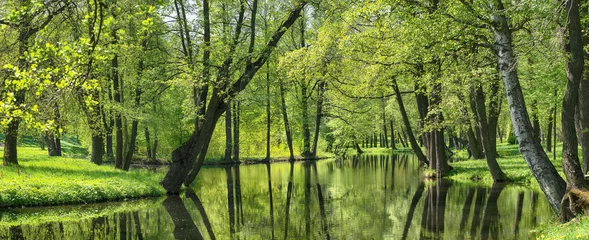 Schilderijen op glas zomerlandschap, vijver en groene bomen in het park. © dmitr1ch