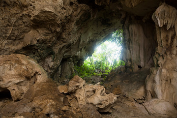 Limestone Caves in the jungle, Belize