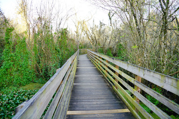 the winter landscape of florida