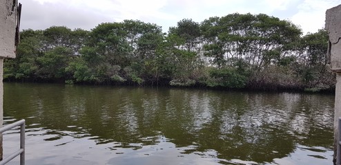 Puerto pequeño y estuario al frente