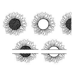 Sunflower vector set collection graphic clipart design