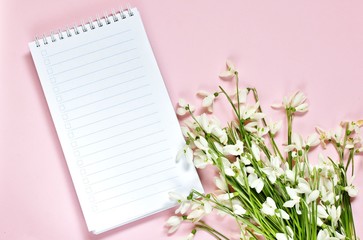 spring mockup notepad on a  background and snowdrops. delicate fletley background copy space place for text.