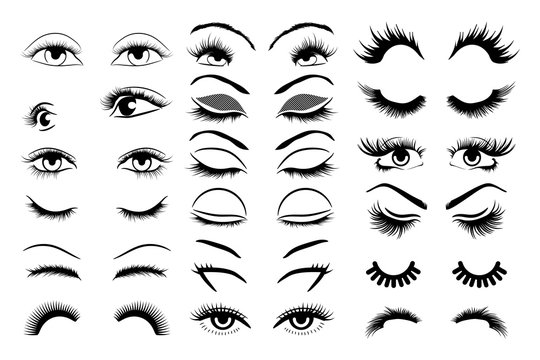 eyelashes vector set collection graphic clipart design