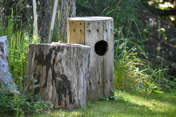 Bird house