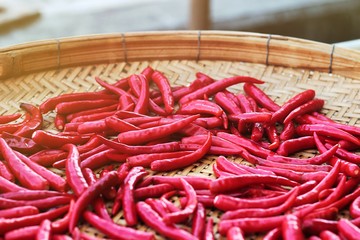 red hot chili peppers