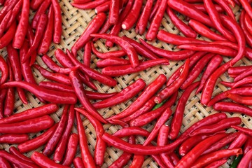 red hot chili peppers