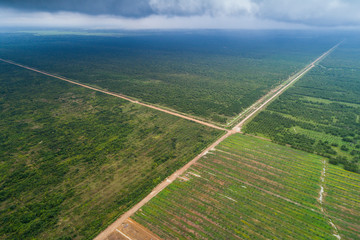 Farm land next to Jungle aerial survey © jamenpercy