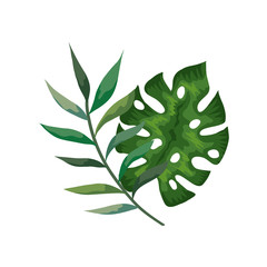Fototapeta na wymiar branch with leafs tropical nature isolated icon vector illustration design