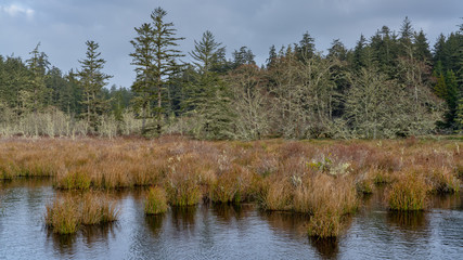 Lagoon In Western Washington State USA