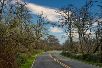 Fototapeta na wymiar Country Highway In Western United States