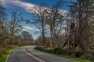 Fototapeta na wymiar Country Highway In Western United States