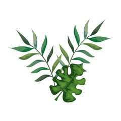 branches with leafs nature isolated icon vector illustration design