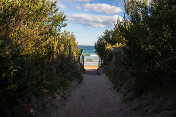 Road to the beach, Great Otway National Park
