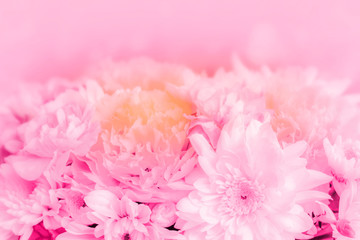 Fototapeta na wymiar romantic flower background for valentines day or wedding day.