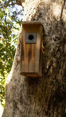 wooden birdhouse on tree