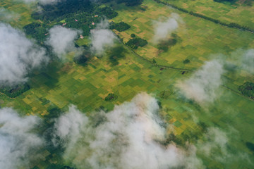 Aerial view of rice field near Chittagong city, Bangladesh