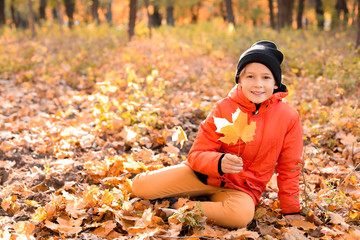 Cute little boy in autumn park