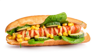 Tasty hot dog on white background