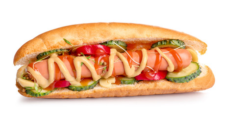 Tasty hot dog on white background