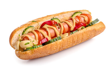 Tasty hot dog on white background