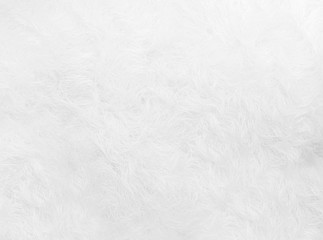 Fototapeta na wymiar White wool texture background. Natural fluffy white fur sheep wool skin texture