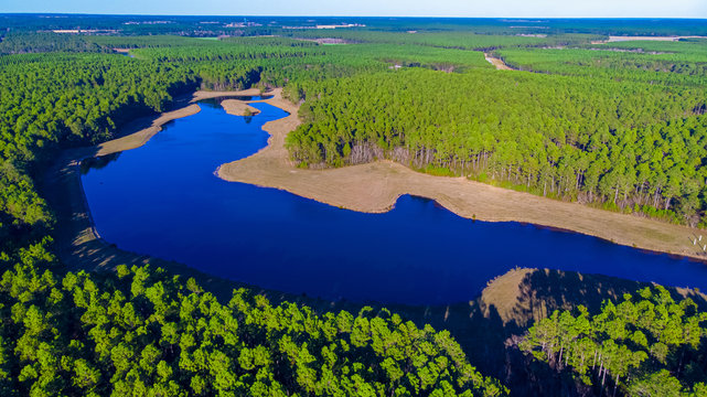 Beautiful view of the lake near the bamahenge, Alabama USA © Pugalenthi