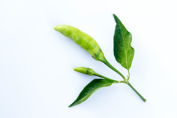 Fresh chilli isolated on a white background.
