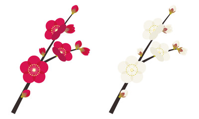 梅　うめ　枝　花