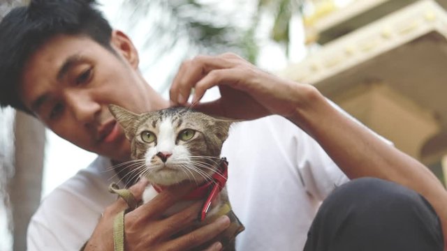 Asian man carry cat on home blurred blackground   with sunlight for people animal lifestyle