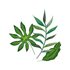 Fototapeta na wymiar branch with leafs nature isolated icon vector illustration design