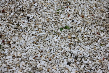 A lot gray little stones, natural pebble texture for background