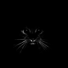 cat face on a black background. silhouette of a cat's head in the dark. print, cat pattern.