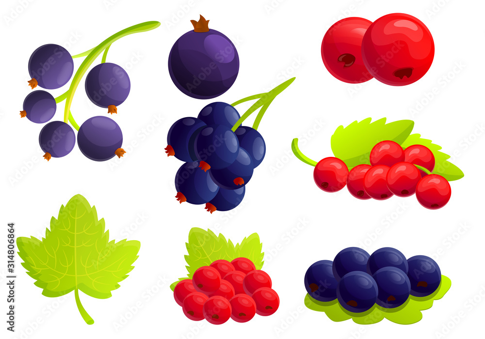 Poster currant berry icons set. cartoon set of currant berry vector icons for web design