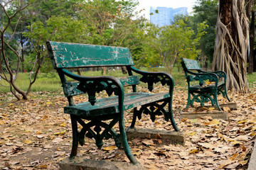Two chairs in the park with trees and nature.