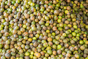 Pile of fresh macadamia nuts and nut shell after harvest from fruit plantation