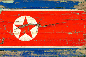 3D Flag of North Korea on wood