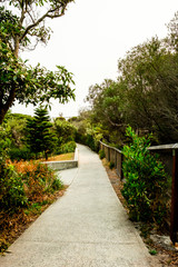 Concrete forest walking path to the Gap ocean cliff at the Watsons Bay of Sydney