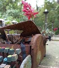 tools in garden
